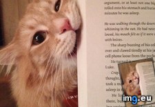 Tags: book, time, watson (Pict. in My r/AWW favs)