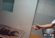 Tags: dead, person, realizes (GIF in My r/AWW favs)