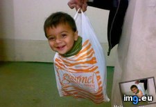 Tags: baby, bag, funny, picture, shopping (Pict. in Lifemaza)