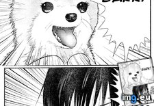 Tags: anime, bark, funny, manga, understand (Pict. in Rehost)