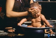 Tags: baby, bathing (Pict. in National Geographic Photo Of The Day 2001-2009)