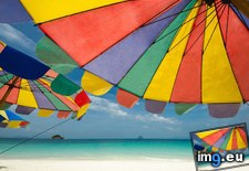 Tags: beach, island, phuket, thailand, umbrellas (Pict. in Beautiful photos and wallpapers)