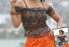 Tags: bindu, hot, madhavi (Pict. in Sex images)