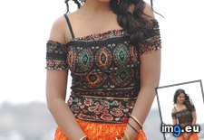 Tags: bindu, hot, madhavi (Pict. in Sex images)