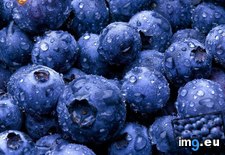 Tags: 1366x768, blueberries, wallpaper (Pict. in Food and Drinks Wallpapers 1366x768)