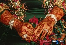 Tags: bride, henna (Pict. in National Geographic Photo Of The Day 2001-2009)