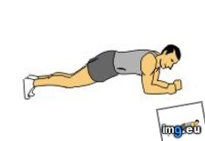 Tags: animated, bridge, elbows (Pict. in Core exercises animations)