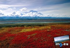 Tags: alaska, brilliant, colors, denali, national, normal, park, wallpaper (Pict. in Amazing HD Wallpapers)