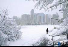 Tags: calgary, spring (Pict. in National Geographic Photo Of The Day 2001-2009)