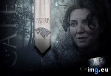 Tags: catelyn, stark (Pict. in Game of Thrones ART (A Song of Ice and Fire))