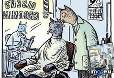 Tags: barber, cat, cats (Pict. in My r/CATS favs)