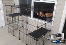 Tags: apartment, built, cat, cats, diy, easy, enclosure, porch (Pict. in My r/CATS favs)