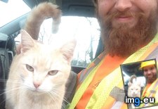 Tags: buddy, cats, day, hanging, job, jump, long, wait, weekend (Pict. in My r/CATS favs)