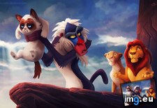 Tags: cat, cats, disney, grumpy, movies, starring (Pict. in My r/CATS favs)