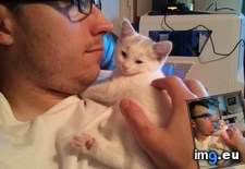 Tags: boyfriend, cat, cats, elsa, needed, one, thought (Pict. in My r/CATS favs)