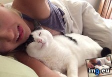 Tags: buddy, cats, happy, love, spooning (Pict. in My r/CATS favs)