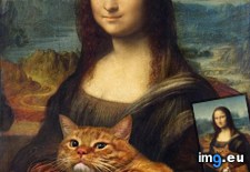 Tags: cats, differently, leonardo, lisa, mona, painted, redditor, vinci, was (Pict. in My r/CATS favs)