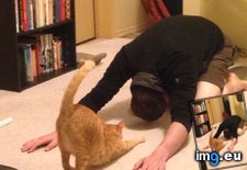 Tags: bowing, cat, cats, husband, thinking, yoga (Pict. in My r/CATS favs)