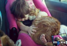 Tags: baby, cats, cute, kitty, love, pure, sleeping, unconditional (Pict. in My r/CATS favs)