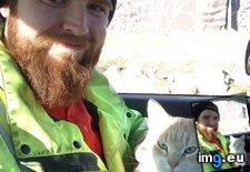 Tags: bit, cats, day, guy, jumped, little, truck, work (Pict. in My r/CATS favs)