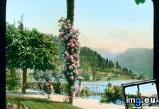 Tags: cernobbio, como, este, garden, hotel, lake, now, path, villa (Pict. in Branson DeCou Stock Images)