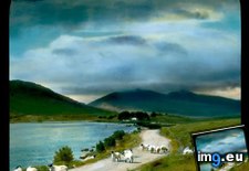 Tags: county, glencar, kerry, lake, landscape, road, sheep (Pict. in Branson DeCou Stock Images)