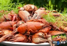 Tags: 1366x768, crawfish, wallpaper (Pict. in Food and Drinks Wallpapers 1366x768)