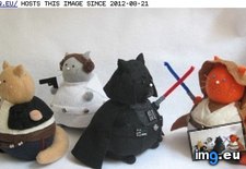 Tags: cats, cute, kawaii, pincushion, star, stuff, wars (Pict. in LOLCats, LOLDogs and cute animals)