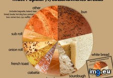 Tags: breads, cheeses, eatsandwiches, follow, popular (Pict. in My r/DATAISBEAUTIFUL favs)