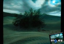 Tags: calfornia, death, dunes, mesquite, moonlight, shrub, valley (Pict. in Branson DeCou Stock Images)