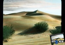 Tags: california, death, dunes, mesquite, sand, stovepipe, valley, wells (Pict. in Branson DeCou Stock Images)