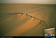 Tags: bones, dinosaur, niger (Pict. in National Geographic Photo Of The Day 2001-2009)
