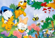 Tags: cartoons, disneybabies2, for, kids (Pict. in Cartoon Wallpapers And Pics)