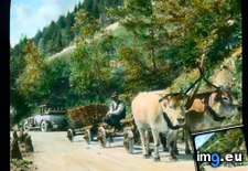 Tags: carts, dolomites, drawn, villager (Pict. in Branson DeCou Stock Images)