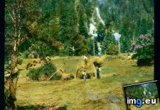 Tags: dolomites, harvesting, hay, villagers (Pict. in Branson DeCou Stock Images)