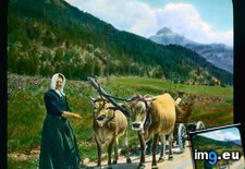 Tags: dolomites, drawn, villagers (Pict. in Branson DeCou Stock Images)