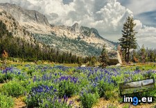 Tags: cathedral, lake, meadow, mountain, national, park, pass, yosemite (Pict. in My r/EARTHPORN favs)