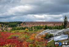 Tags: autumn, dolly, sods, wilderness (Pict. in My r/EARTHPORN favs)