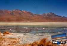Tags: altiplano, bolivian (Pict. in My r/EARTHPORN favs)