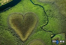 Tags: caledonia, formed, heart, mangroves, naturally, pacific, south, voh (Pict. in My r/EARTHPORN favs)