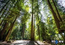 Tags: city, crescent, park, redwoods, smith, state, weekend (Pict. in My r/EARTHPORN favs)