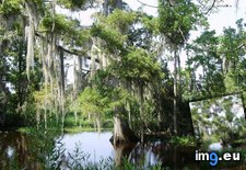 Tags: historic, jean, louisiana, mom, national, orleans, park, trail (Pict. in My r/EARTHPORN favs)