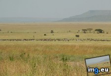 Tags: 960x720, serengeti, tanzania (Pict. in My r/EARTHPORN favs)