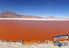 Tags: 8748x2345, bolivia, colorada, laguna, panoramic (Pict. in My r/EARTHPORN favs)