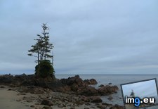 Tags: cape, facing, lone, ocean, pacific, pillar, rock, scott, spruce, storm, trees (Pict. in My r/EARTHPORN favs)
