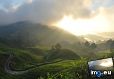 Tags: cameron, highlands, malaysia, sunrise, unedited (Pict. in My r/EARTHPORN favs)
