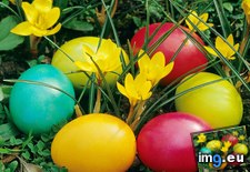 Tags: crocuses, easter, eggs (Pict. in Beautiful photos and wallpapers)