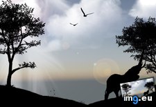 Tags: 1366x768, elephant, wallpaper (Pict. in Animals Wallpapers 1366x768)