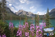 Tags: british, colors, columbia, emerald, lake, national, nice, park, yoho (Pict. in Beautiful photos and wallpapers)