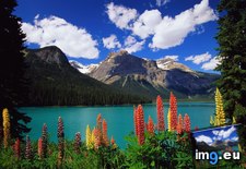Tags: british, columbia, emerald, lake, national, park, yoho (Pict. in Beautiful photos and wallpapers)